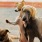 dogs standing outside a sliding glass door