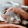 owner pets cat lying on the arm of a couch