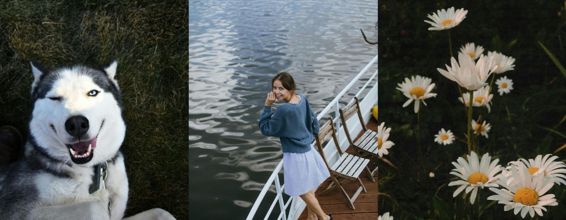 images of a dog, a woman on a boat and a field of daisies